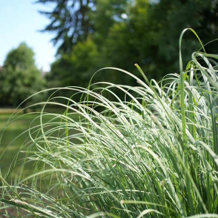 Photo of Outdoor in Ray-sur-Saone