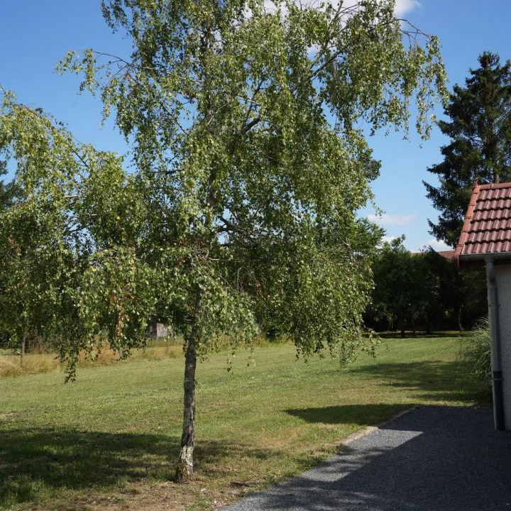 Photo of Others in Ray-sur-Saone