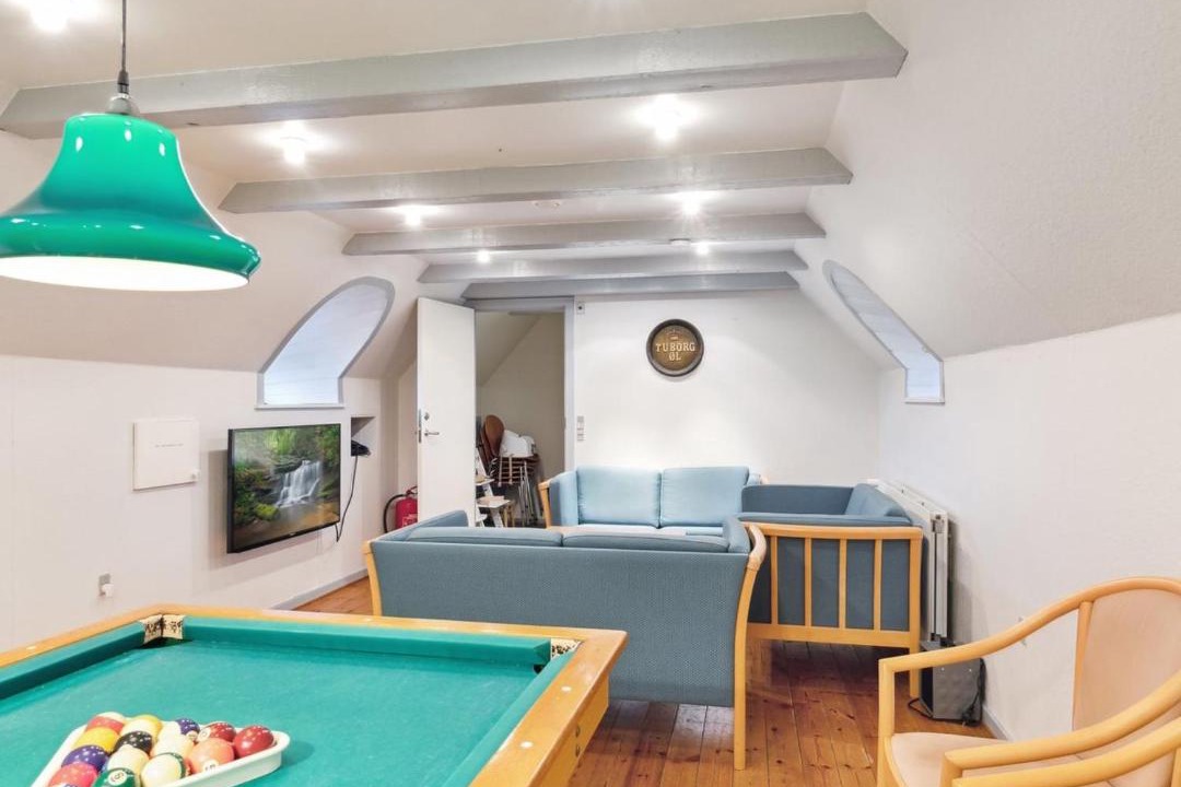 Photo of Others in Fur