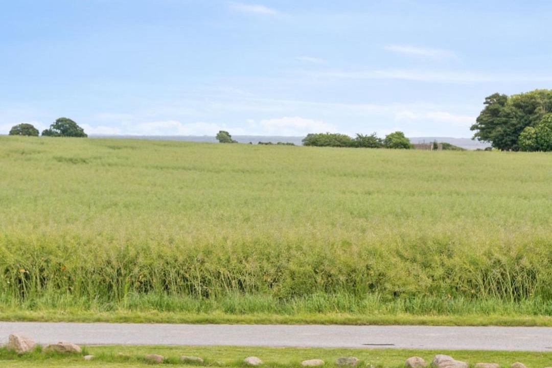Photo of Others in Østerskov