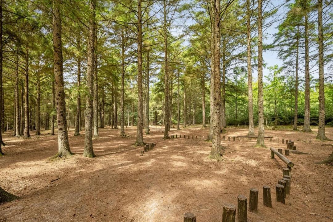 Photo of Others in Nørre Fjand