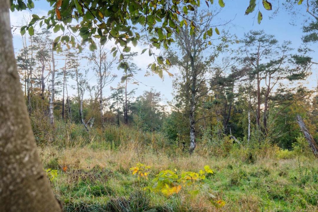 Photo of Others in Tisvildeleje