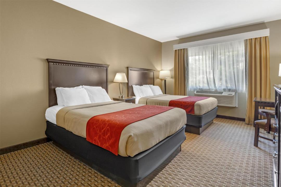 Photo of Others in Zillah