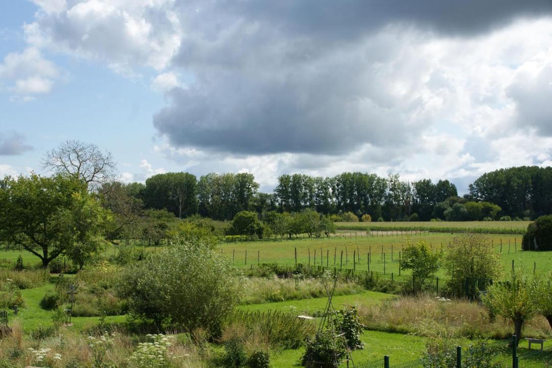 Photo of Others in Baule