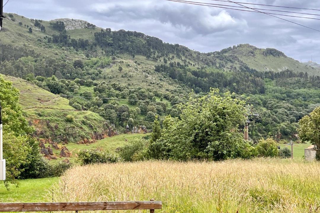 Photo of Others in Cabarceno