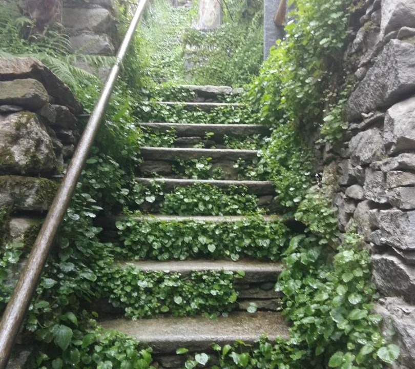 Photo of Others in Brione sopra Minusio