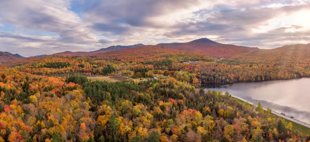 Photo of Others in Proctor