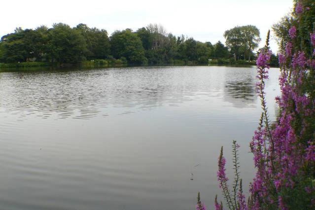 Photo of Others in Spring Lake