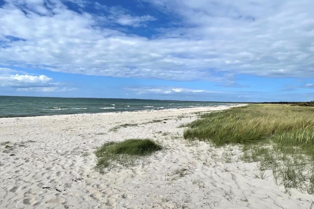 Photo of Others in Hoeve Strand