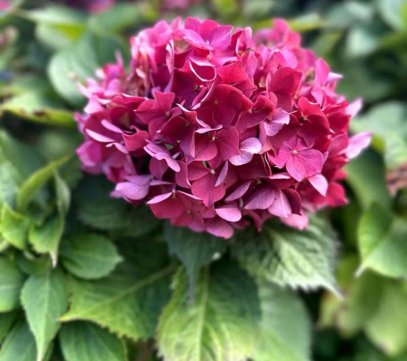 Photo of Outdoor in Fatouville-Grestain