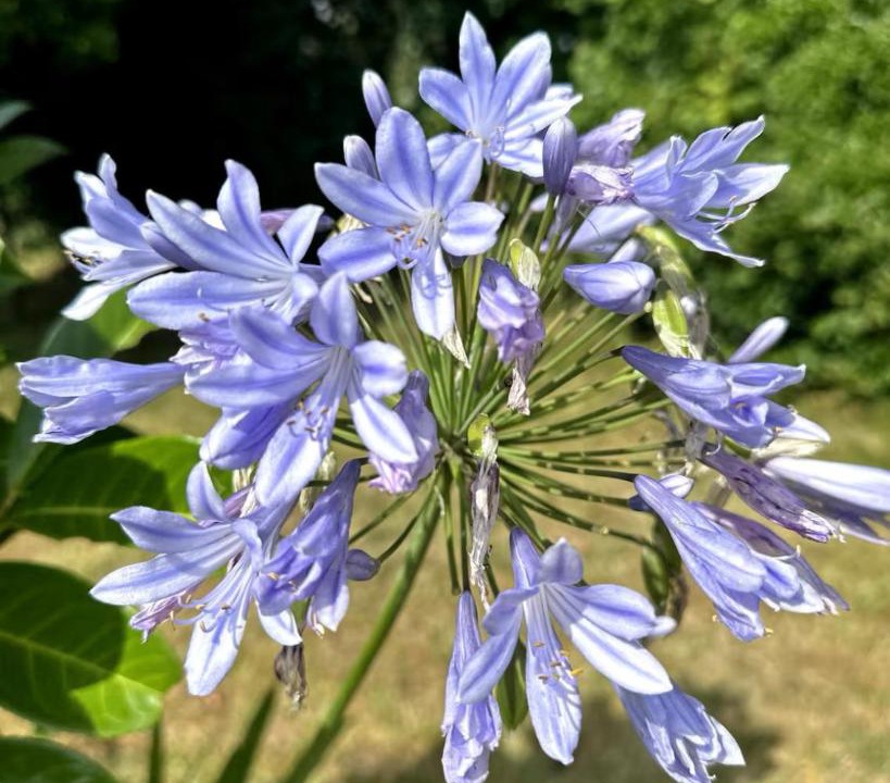 Photo of Others in Fatouville-Grestain