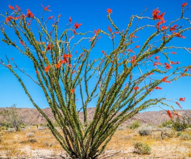 Photo of Others in Valentine