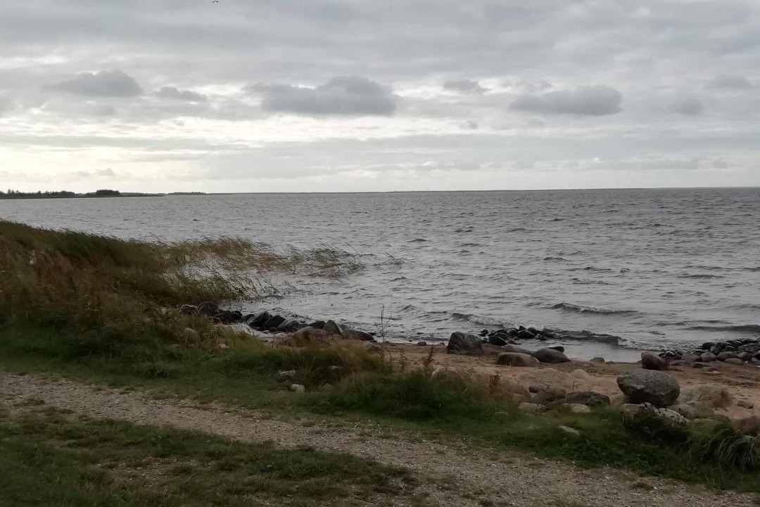 Photo of Others in Sønder Nissum
