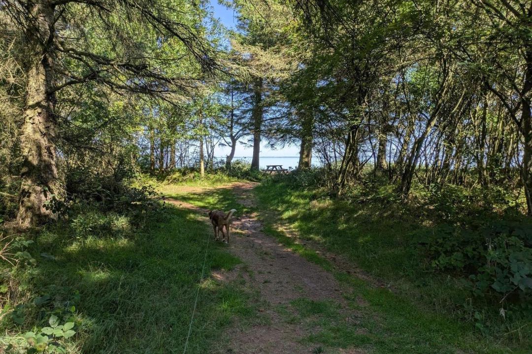 Photo of Others in Sønder Nissum