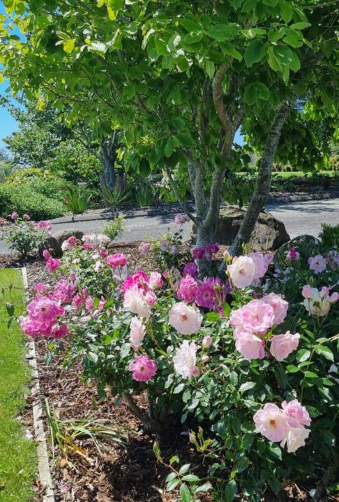 Photo of Outdoor in Bell Block