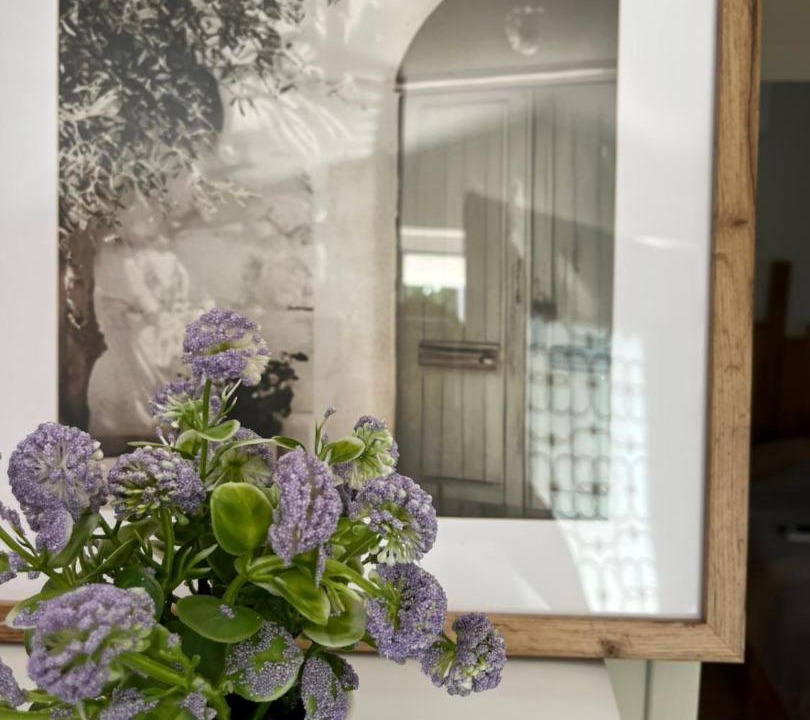 Photo of Others in Saint-Paul-Trois-Chateaux