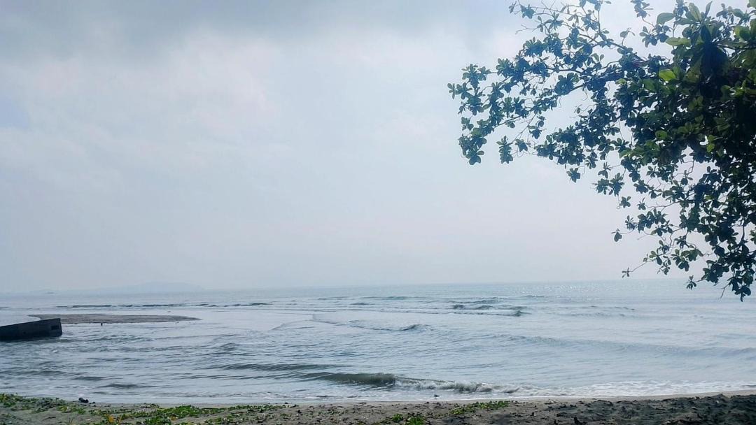 Photo of Others in Kampung Pantai Batu Hitam