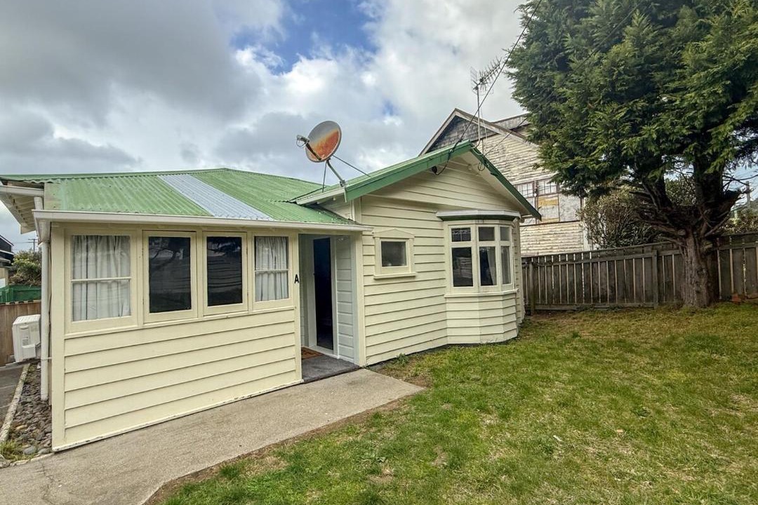 Photo of Others in Lyall Bay