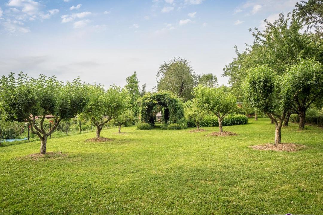 Photo of Outdoor in Loubens-Lauragais