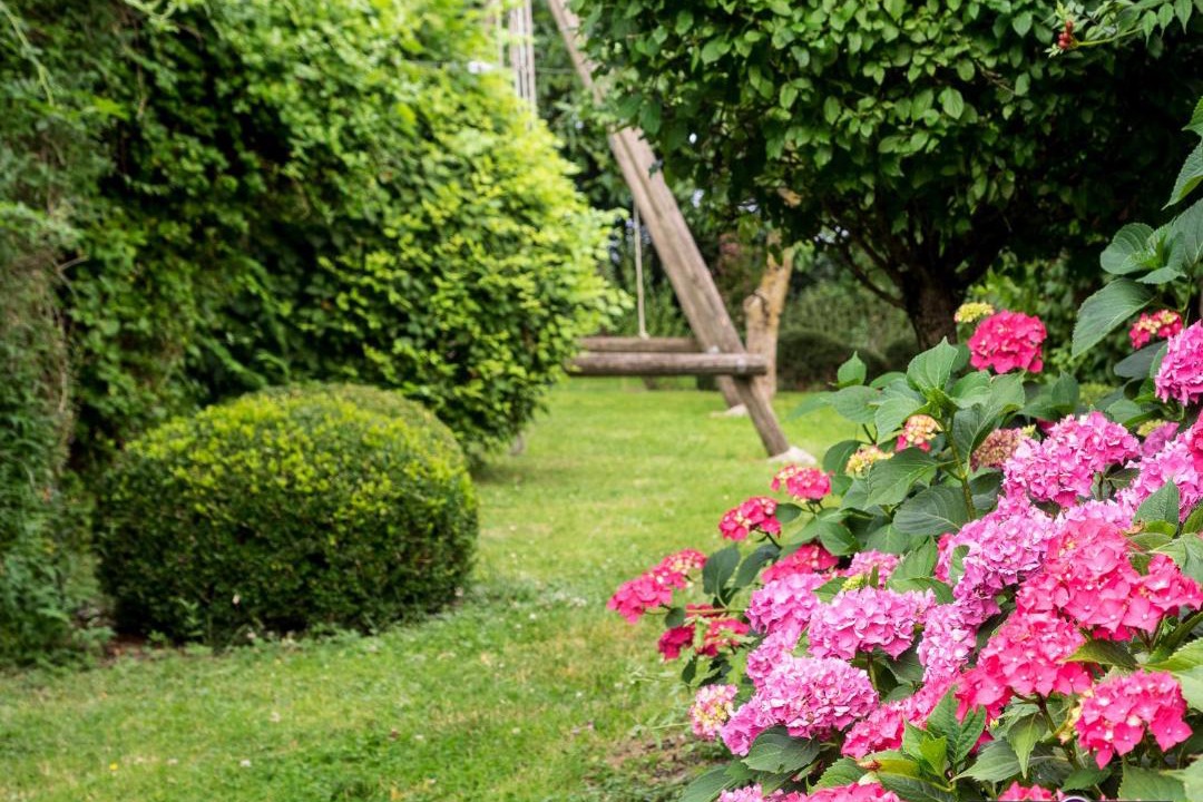 Photo of Others in Loubens-Lauragais