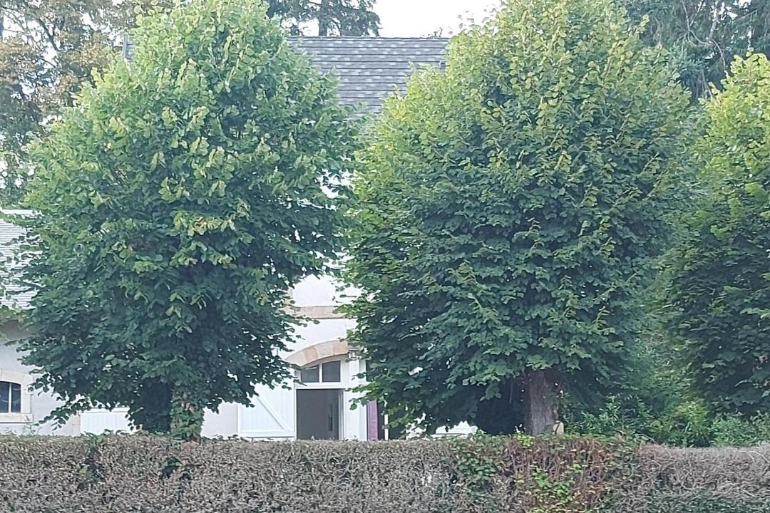 Photo of Others in Theneuille