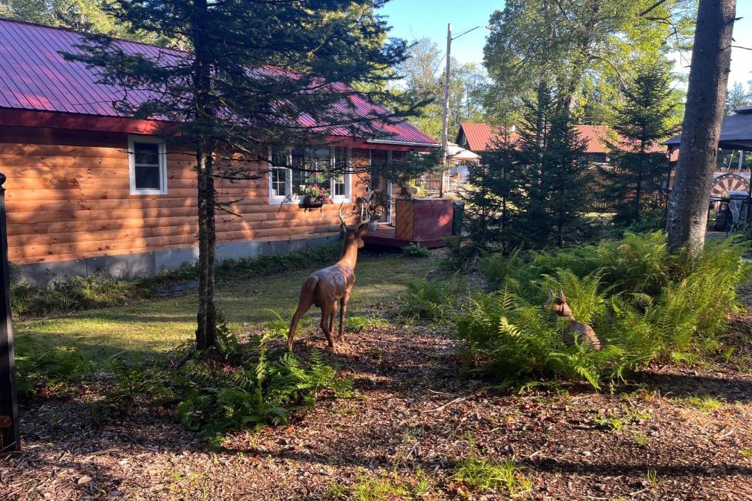 Photo of Others in Arietta