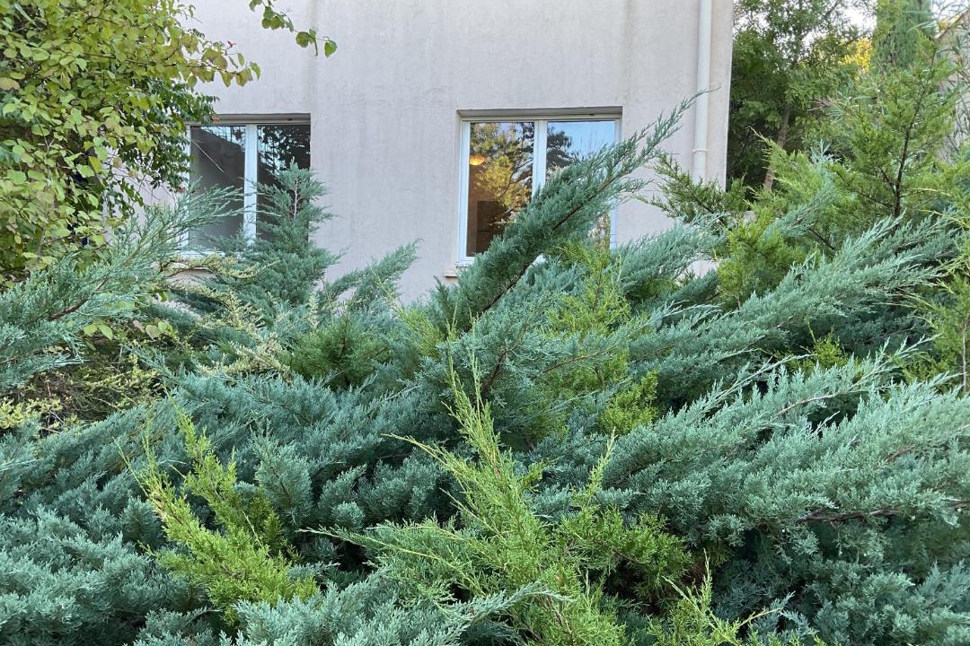 Photo of Others in La Boissiere