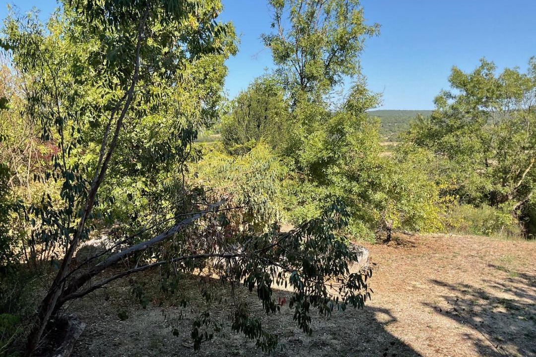 Photo of Others in La Boissiere