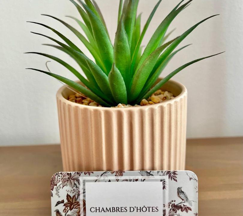 Photo of Others in Rilly-la-Montagne