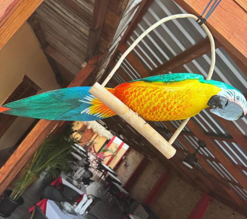 Photo of Others in Barahona