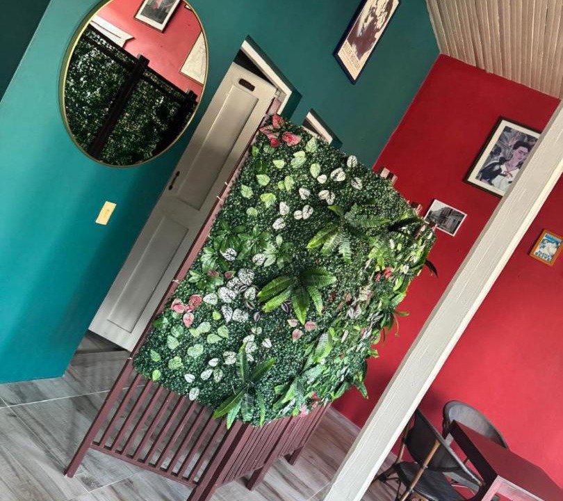 Photo of Others in Barahona