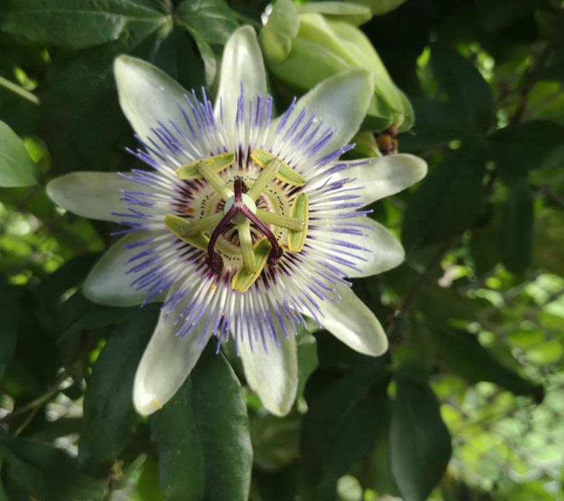 Photo of Outdoor in Saint-Andeol-de-Clerguemort