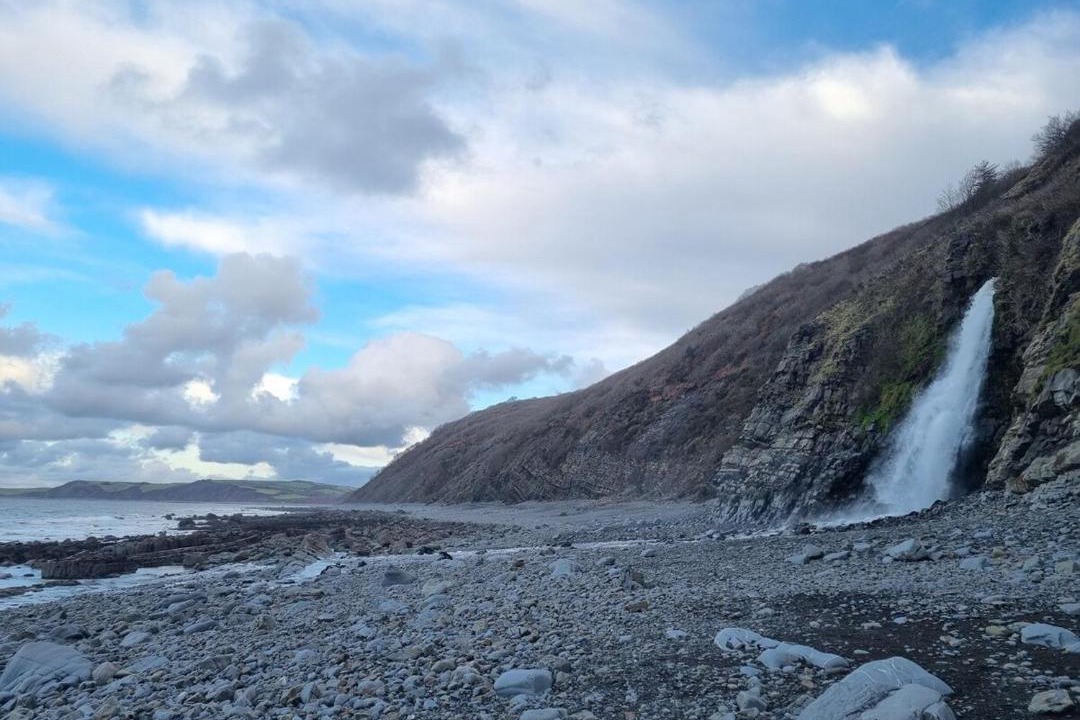 Photo of Others in Bucks Mills