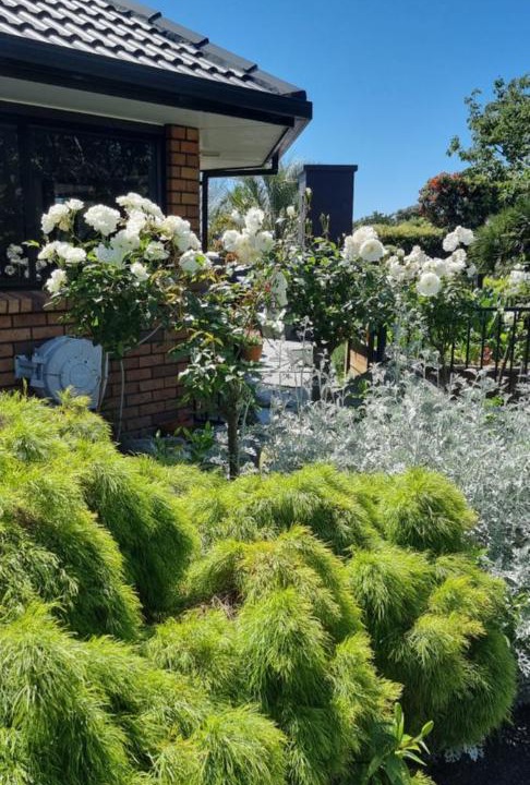 Photo of Others in Bell Block