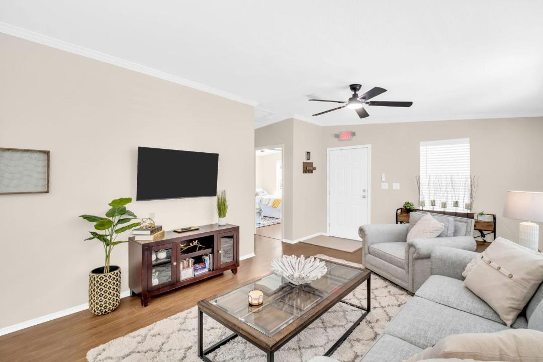 Photo of Others in Dunedin