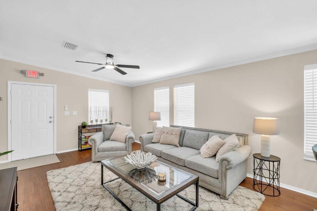 Photo of Others in Dunedin