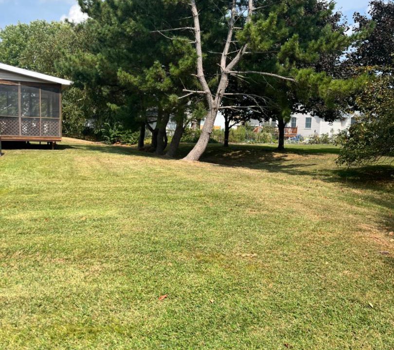 Photo of Others in Maplewood