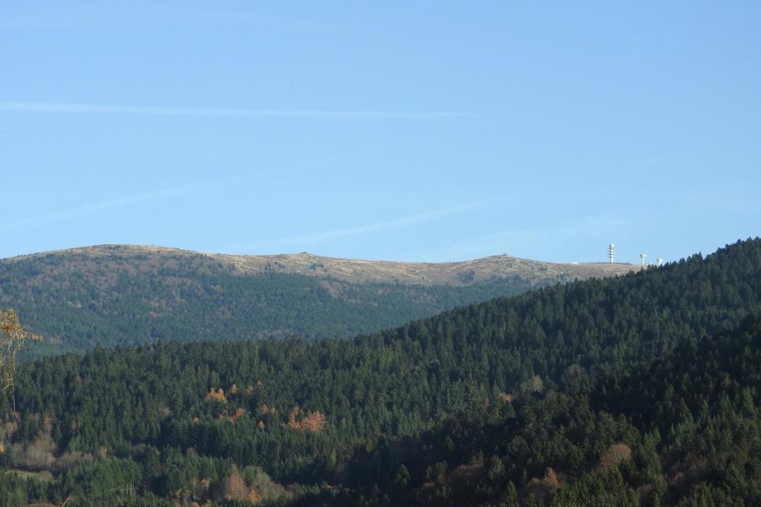 Photo of Others in Marat