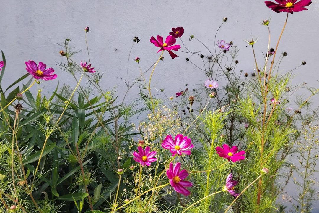 Photo of Outdoor in Pornic