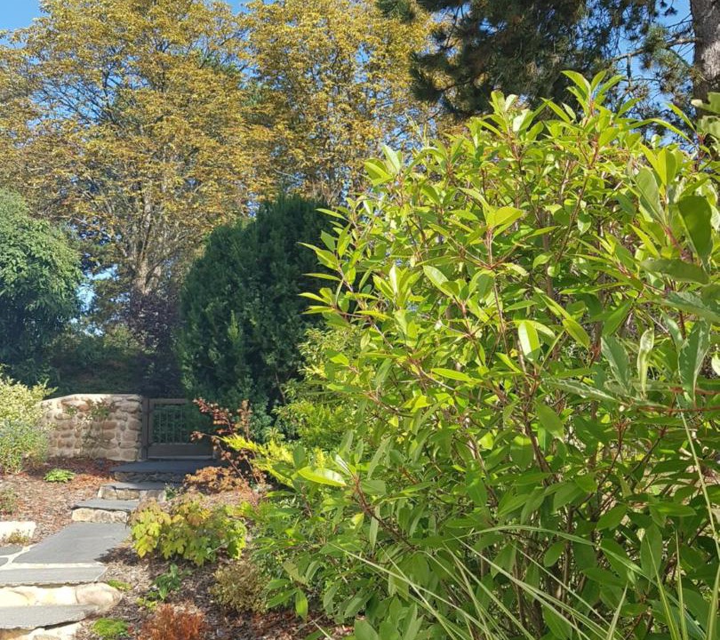 Photo of Outdoor in Obernai