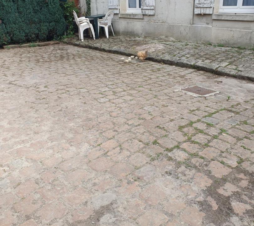 Photo of Others in Villers-Cotterets