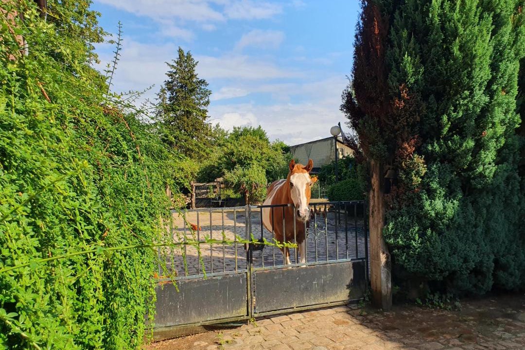 Photo of Others in Villers-Cotterets