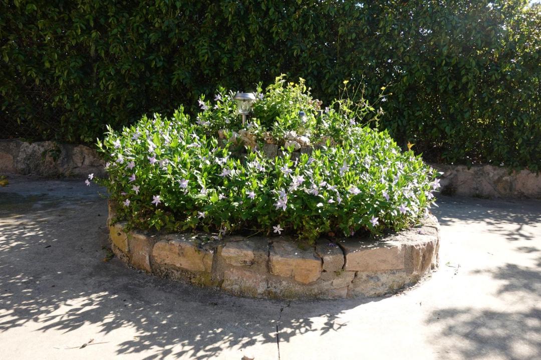 Photo of Others in Fonollosa