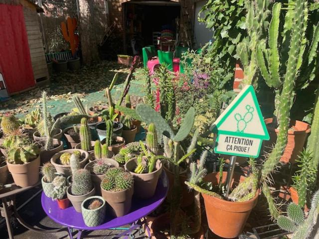 Photo of Outdoor in Douai