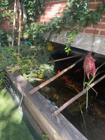 Photo of Others in Douai