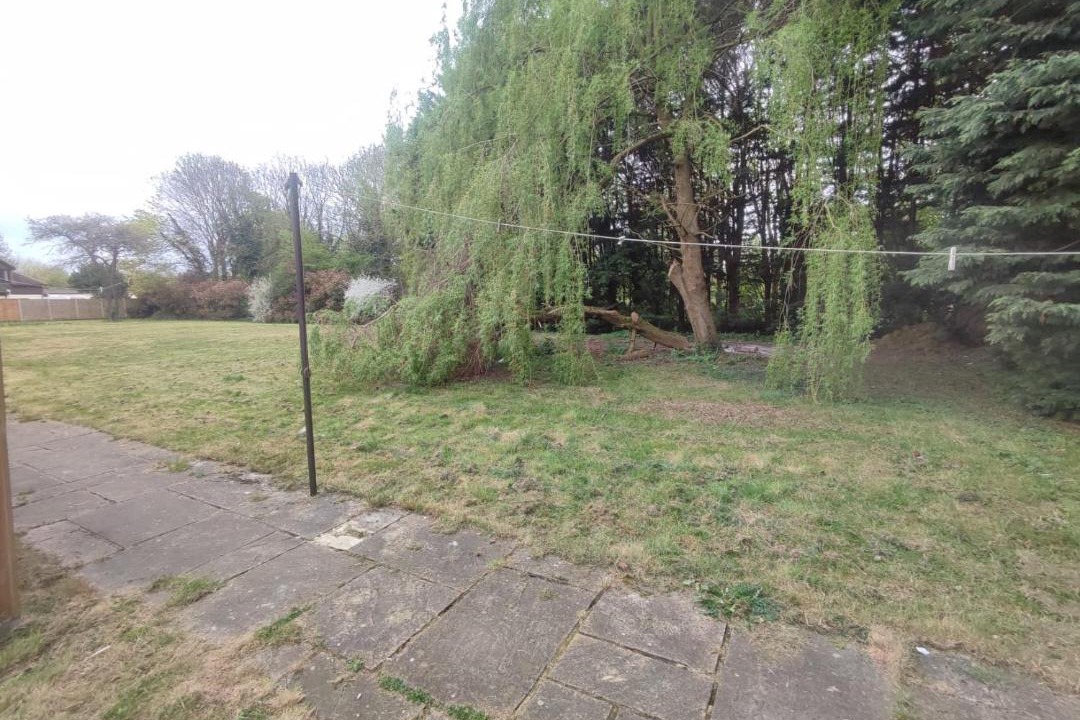 Photo of Others in Runnymede