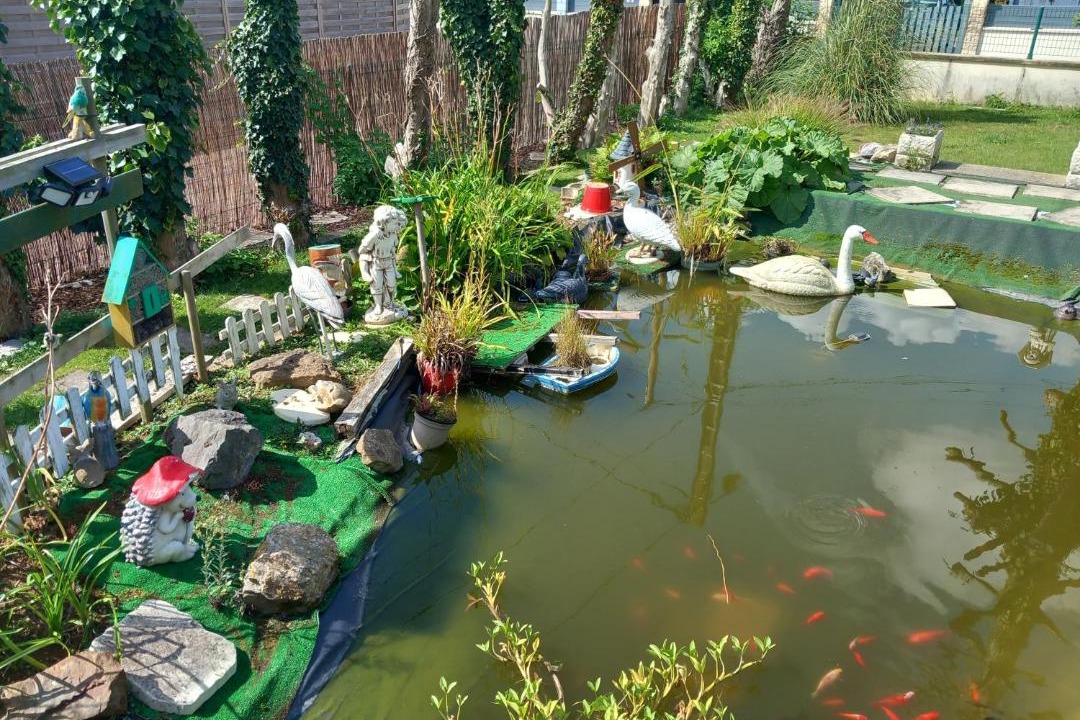 Photo of Others in Maizet