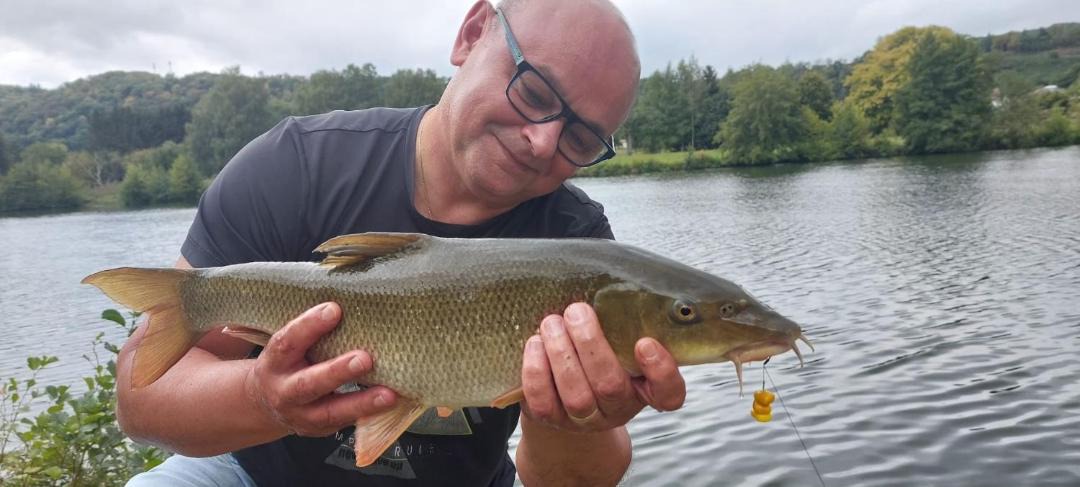 Photo of Others in Vireux-Wallerand