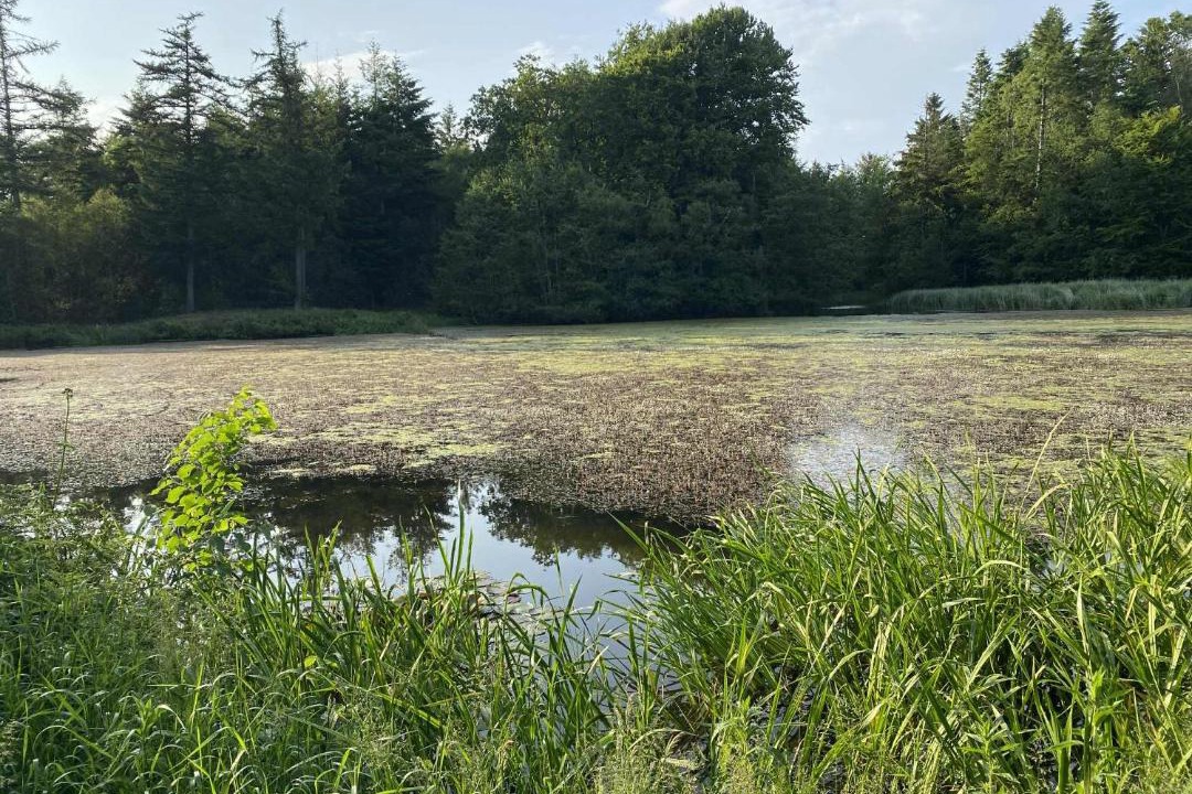 Photo of Others in Aars