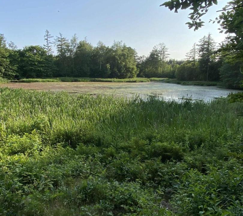 Photo of Others in Aars